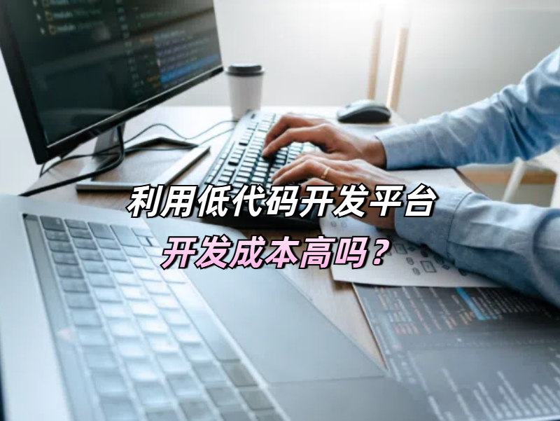 利用低代碼開(kāi)發(fā)平臺(tái)開(kāi)發(fā)成本高嗎？成本的“雙刃劍”與價(jià)值新范式